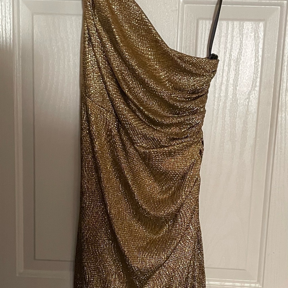 Adam Shimmering Gold Dress